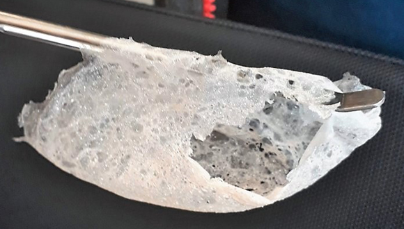  The material produced from a microorganism that will be used in the future as bio-plastic