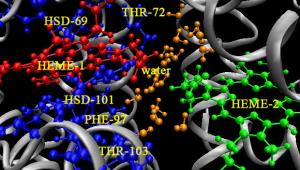 Chemical Physics Colloquium