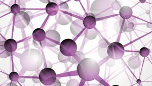 Physics Colloquium in Memory of Prof. Yuval Ne’eman