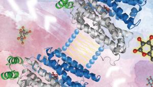 The Raymond and Beverly Sackler International Prize in Biophysics