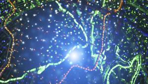Joint Seminar in High Energy Physics