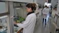 Organic Chemistry Laboratory - Picture 4