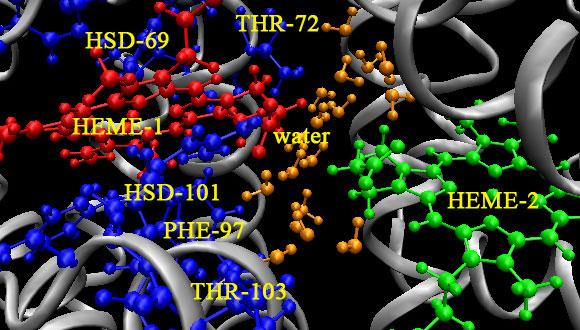 Chemical Physics Colloquium