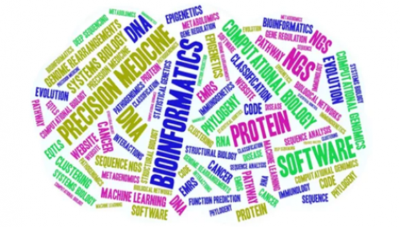 March 2025: Eleven bioinformatics undergraduates win the Dean of Life Sciences award