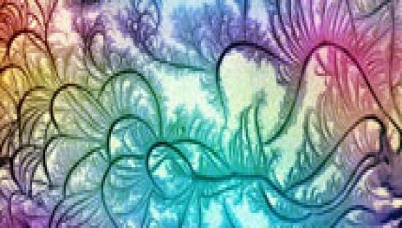 Biological & Soft Matter Seminar