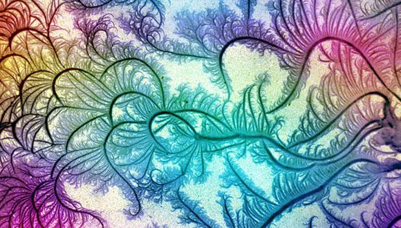 Biological & condensed Matter Seminar