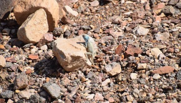 Geology field lab - October 2016 Picture 3