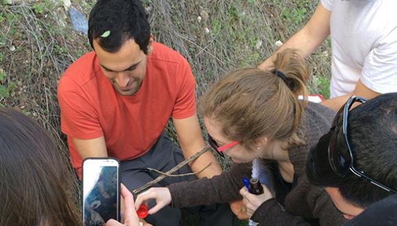 Gallery - Israel Soil - Pic 3