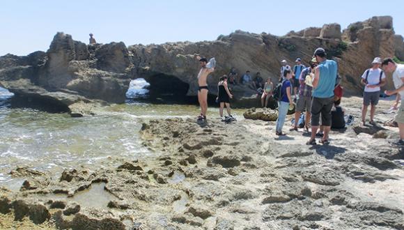 Gallery - Tours on the Mediterranean Coast - Pic 3
