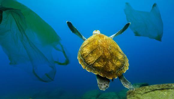 No more plastic in the ocean?