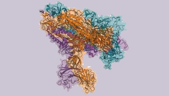 Computer Simulation against COVID-19