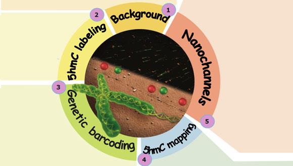 Tslil Gabrieli was recently awarded best poster prize in Nano Israel 2016